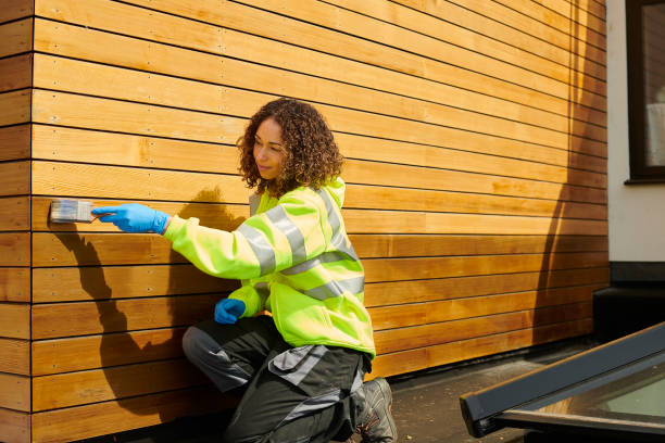 Best Aluminum Siding Installation  in Phoenix Lake, CA